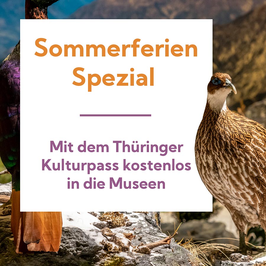 Sommerferien Spezial – Mit dem Thüringer Kulturpass kostenlos in die Museen der Stadt